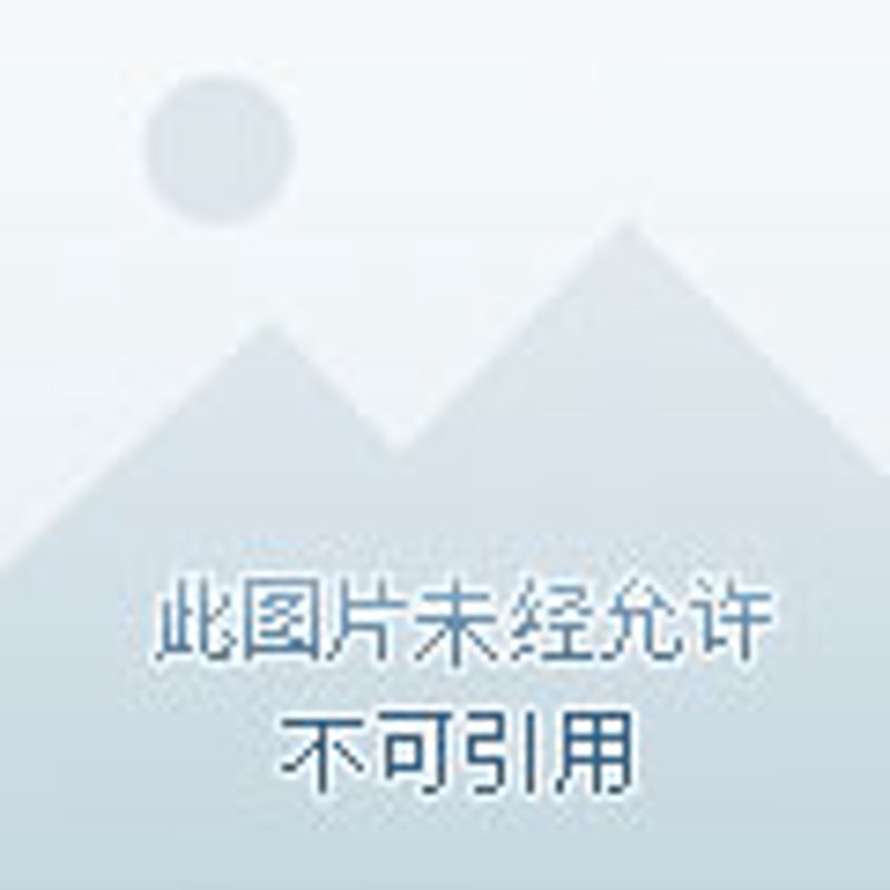 一件代发