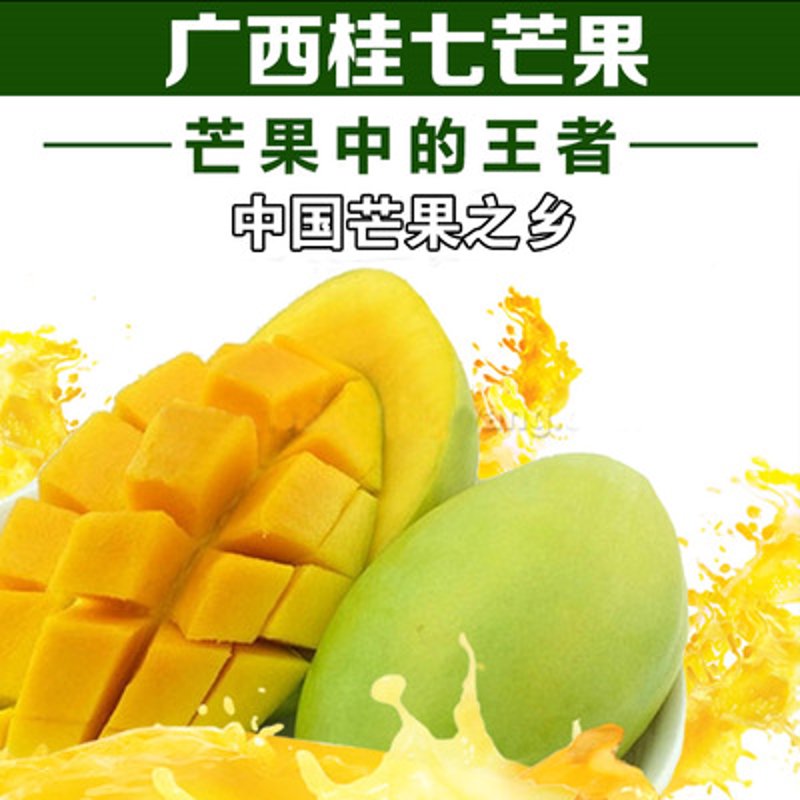信阳毛尖：千年茶香中的现代之韵